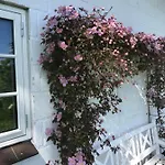 Bed & Breakfast Svalebolle Tranekaer