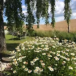 Svalebolle B&B