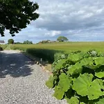 Svalebolle 4*