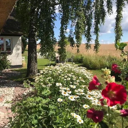Svalebolle B&B 4*
