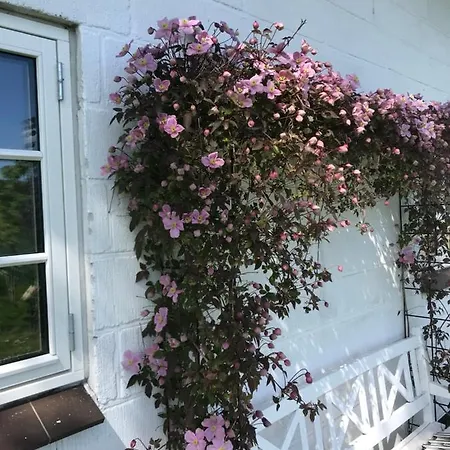 Bed and Breakfast Svalebolle Tranekær