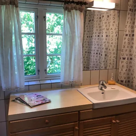 Svalebolle Tranekær