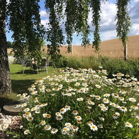 Svalebolle B&B
