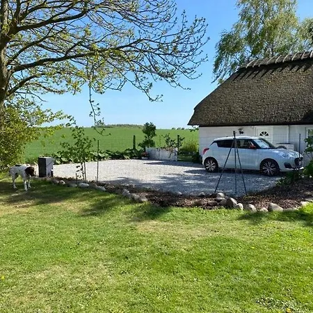 Svalebolle Bed and Breakfast